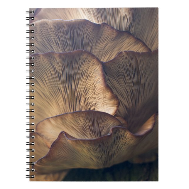 Cuaderno Foto selectiva de hongos (Frente)