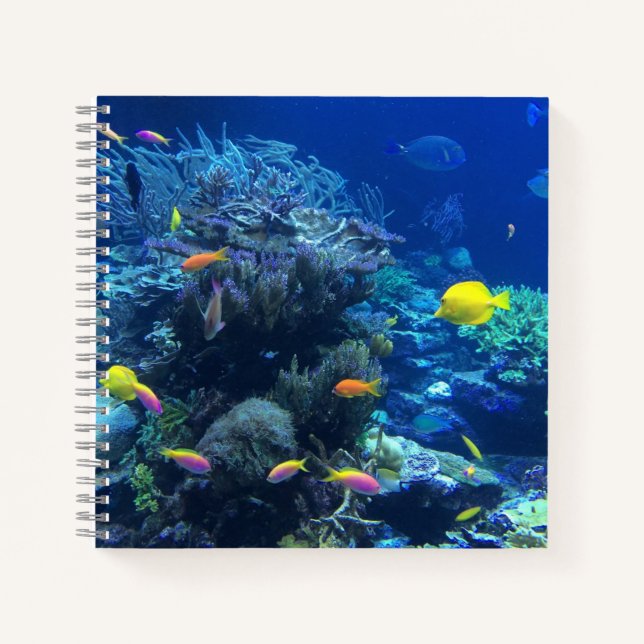 Cuaderno Foto submarina de peces tropicales amarillos (Anverso)