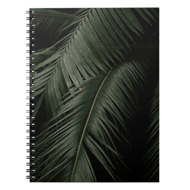 CUADERNO FOTO VERDE DE COCONUT TREE (Frente)