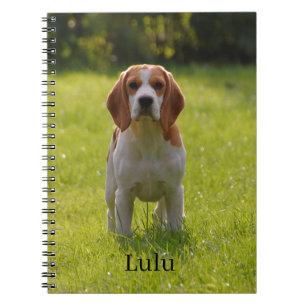 Cuaderno Foto y nombre de perro Beagle personalizados