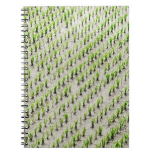 Cuaderno Fotografía aérea de cultivos de arroz durante el d