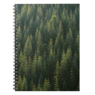 CUADERNO FOTOGRAFÍA AÉREA DE LOS BOSQUES