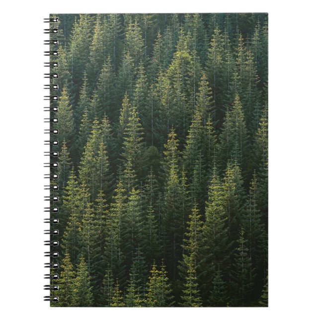 CUADERNO FOTOGRAFÍA AÉREA DE LOS BOSQUES (Frente)