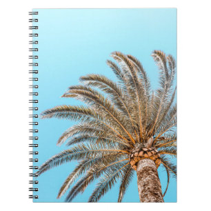 Cuaderno Fotografía de ángulo bajo de una palmera verde deb