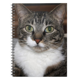 Cuaderno Fotografía de animales por gato Mascota Tabby