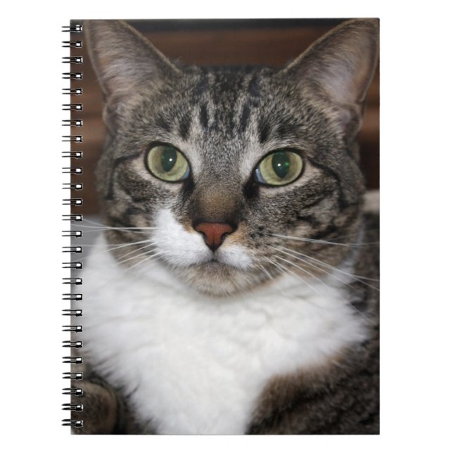 Cuaderno Fotografía de animales por gato Mascota Tabby (Frente)