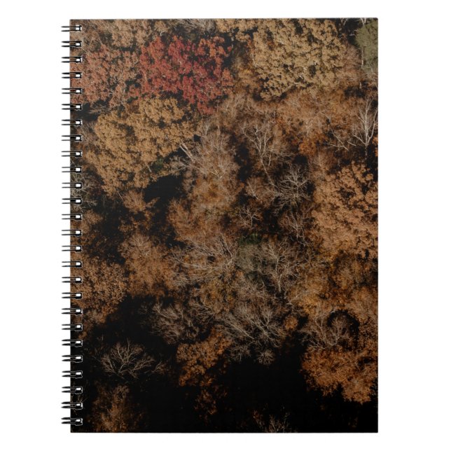 Cuaderno Fotografía de árbol vista desde arriba (Frente)