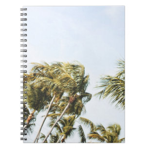 CUADERNO FOTOGRAFÍA DE BAJO ÁNGULO DE ÁRBOLES DE COCOTERO V