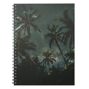 CUADERNO FOTOGRAFÍA DE BAJO ÁNGULO DE UN ÁRBOL COCOTERO CON