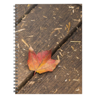 Cuaderno fotografía de caída minimalista de hojas de maple