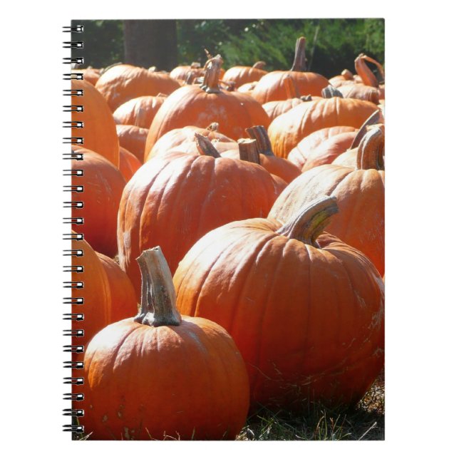 Cuaderno Fotografía de calabazas para Caída, Halloween o Dí (Frente)