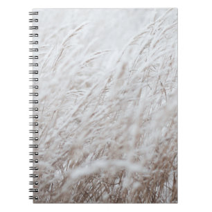 Cuaderno Fotografía de campo de hierba blanca