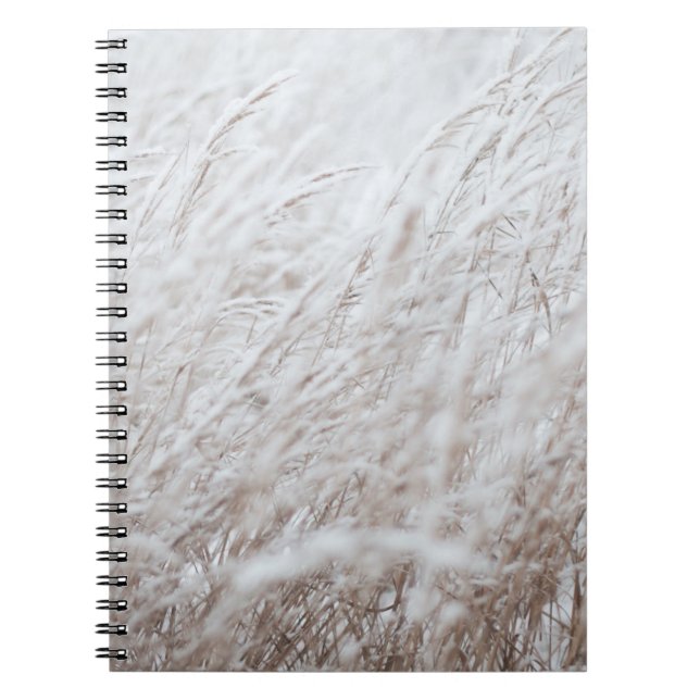 Cuaderno Fotografía de campo de hierba blanca (Frente)