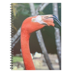 Cuaderno Fotografía de cerco del ave roja de cuello largo