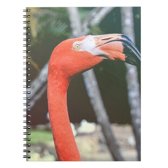 Cuaderno Fotografía de cerco del ave roja de cuello largo (Frente)