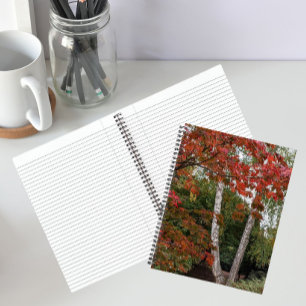Cuaderno Fotografía de coloridas hojas de otoño