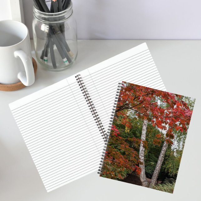 Cuaderno Fotografía de coloridas hojas de otoño (In Situ)