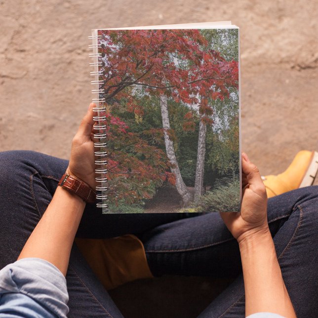 Cuaderno Fotografía de coloridas hojas de otoño (In Situ)