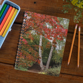 Cuaderno Fotografía de coloridas hojas de otoño
