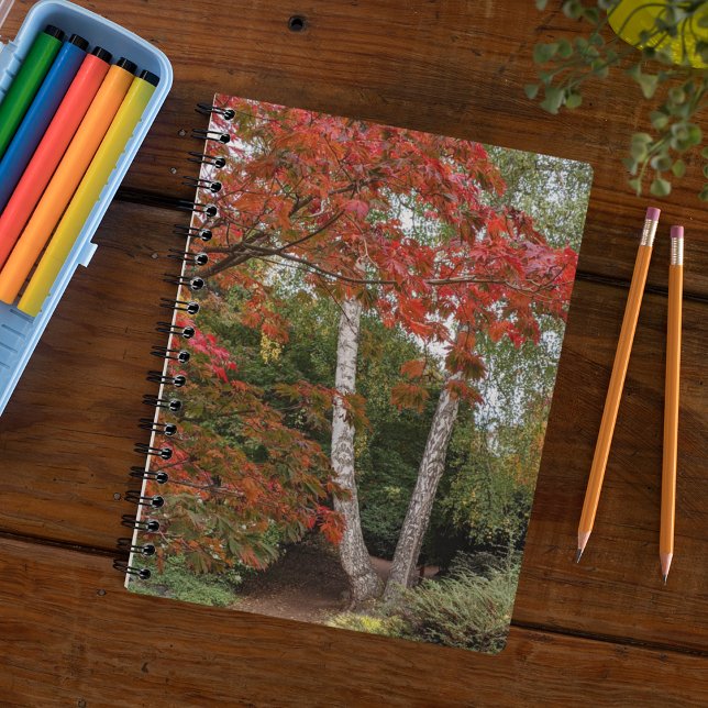 Cuaderno Fotografía de coloridas hojas de otoño (In Situ)