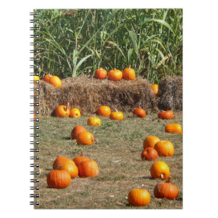 Cuaderno Fotografía de cosecha otoñal de calabazas, maíz y 