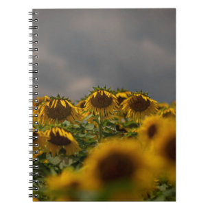 CUADERNO FOTOGRAFÍA DE ENFOQUE SELECTIVA DE LAS FLORES AMAR