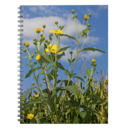 Cuaderno Fotografía de Flor Floral de girasoles salvajes
