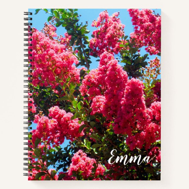 Cuaderno Fotografía de Flores de Arbol de Myrtle Crape Rosa (Anverso)