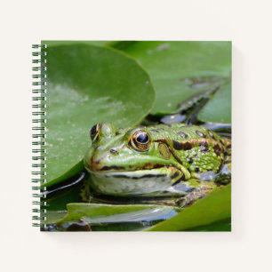 Cuaderno Fotografía de Frog Green Lily Pad