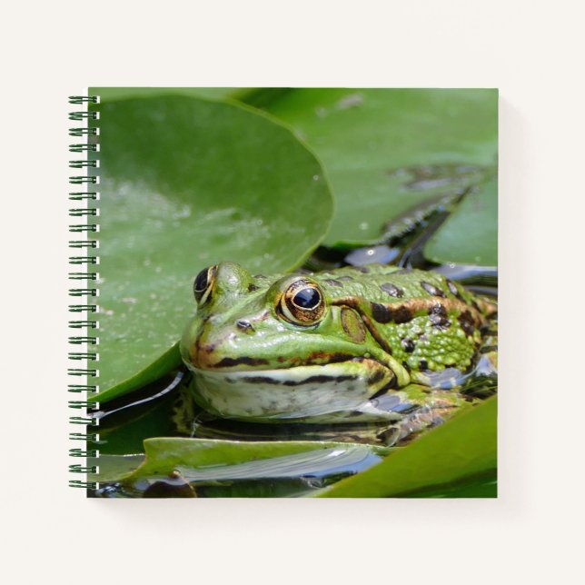 Cuaderno Fotografía de Frog Green Lily Pad (Anverso)