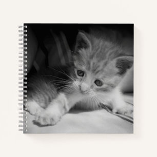 Cuaderno Fotografía de Gatito Blanco y Negro