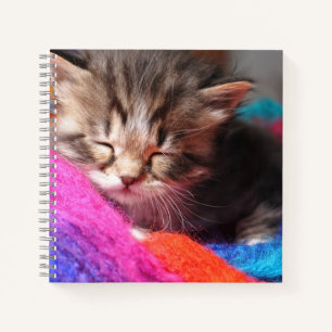 Cuaderno Fotografía de gatito recién nacido suave y somnoli