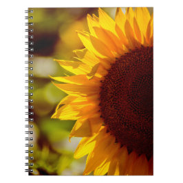 Cuaderno - Fotografía de Girasol en el Campo