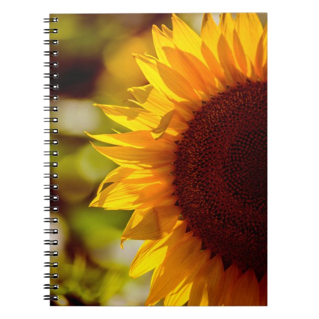 Cuaderno - Fotografía de Girasol en el Campo (Frente)