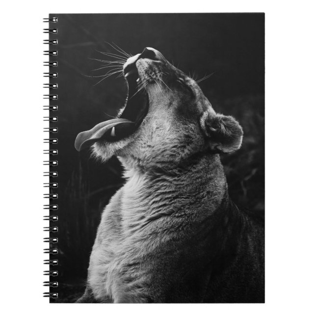 CUADERNO FOTOGRAFÍA DE GRAYSCALE DE YAWNESS LIONESS (Frente)