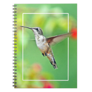 Cuaderno Fotografía de Hummingbird