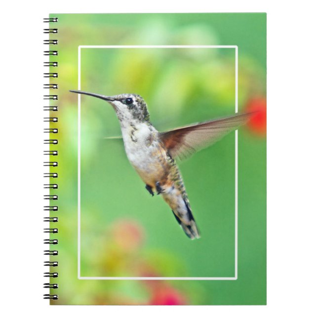 Cuaderno Fotografía de Hummingbird (Frente)