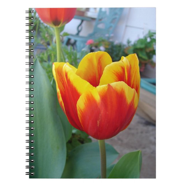 Cuaderno Fotografía de jardín con tulipanes rojos y amarill (Frente)