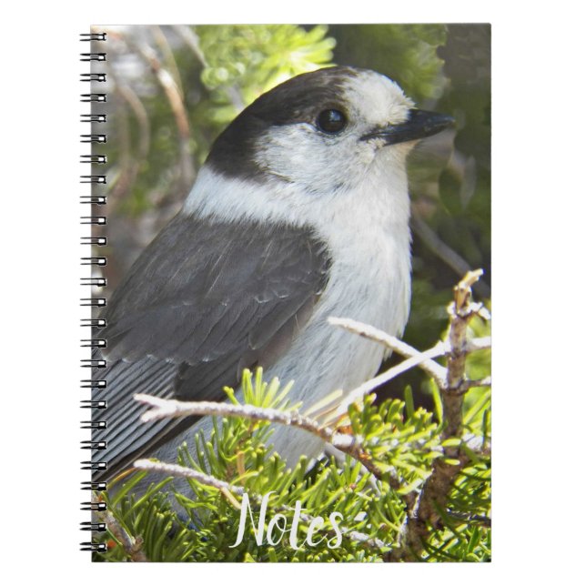 Cuaderno Fotografía de Jay en Canadá gris y blanco (Frente)