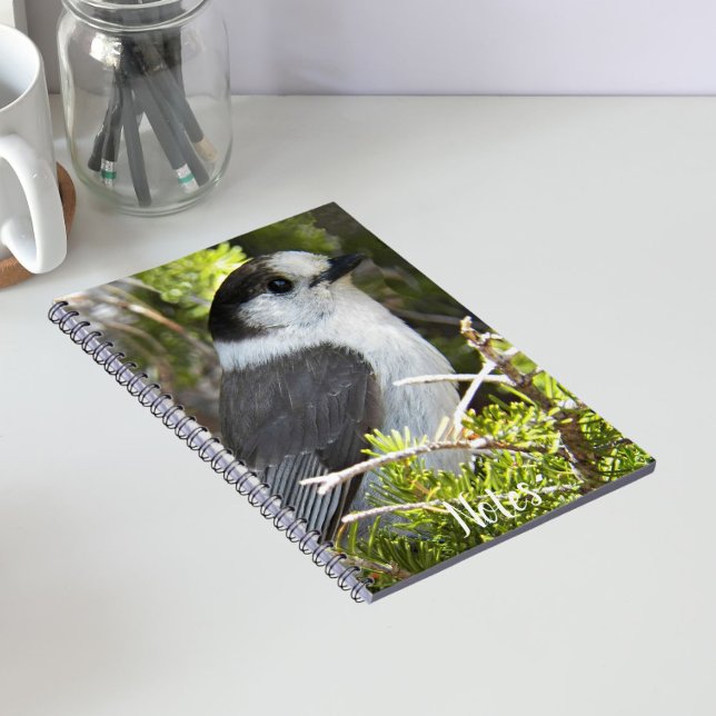 Cuaderno Fotografía de Jay en Canadá gris y blanco (In Situ)