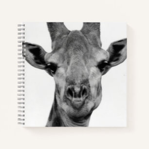 Cuaderno Fotografía de jirafa en blanco y negro