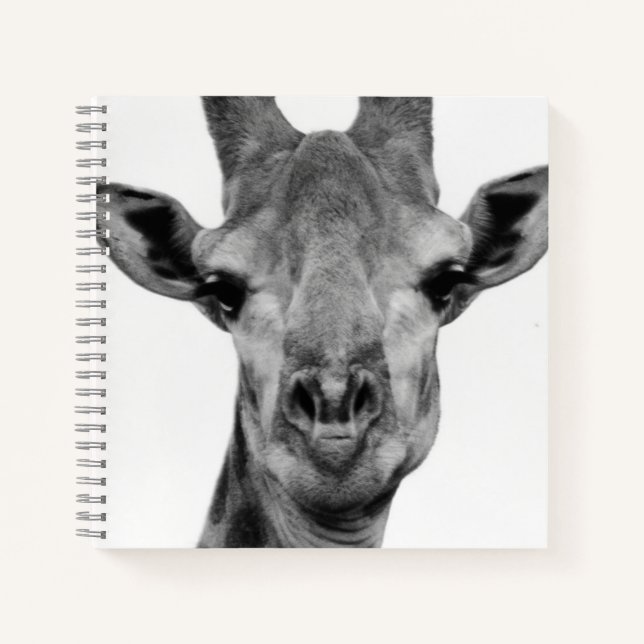 Cuaderno Fotografía de jirafa en blanco y negro (Anverso)