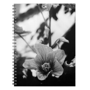 Cuaderno Fotografía de la flor pictum con abutilón blanco y
