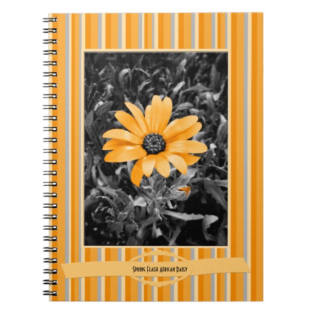 Cuaderno Fotografía de la margarita africana del flash de (Frente)