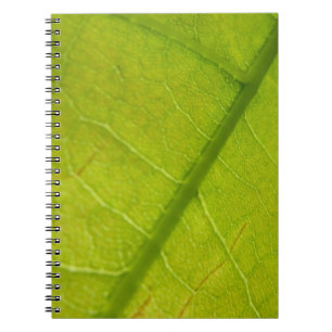 Cuaderno Fotografía de la naturaleza botánica de la hoja ve