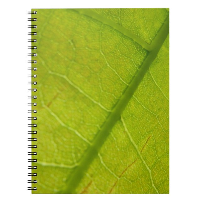Cuaderno Fotografía de la naturaleza botánica de la hoja ve (Frente)