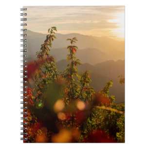 Cuaderno Fotografía de la naturaleza de árboles verdes que