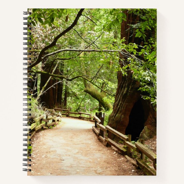 Cuaderno Fotografía de la Naturaleza de Camino II de Muir W (Anverso)