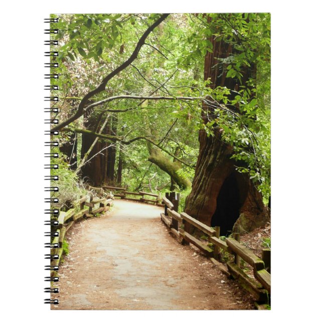 Cuaderno Fotografía de la Naturaleza de Camino II de Muir W (Frente)