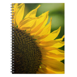 Cuaderno - Fotografía de la Naturaleza de Girasol